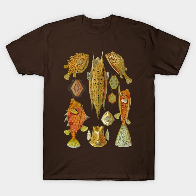 Ernst Haeckel Ostraciontes Boxfish T-Shirt by Scientistudio